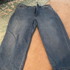 Light Blue Amanda Capris by Gloria Vanderbilt